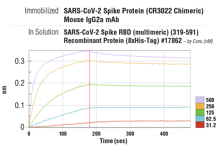 ELISA Image 2: SARS-CoV-2 Spike Protein (CR3022 Chimeric) Mouse IgG2a Monoclonal Antibody