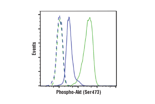 Flow Cytometry Image 1: Phospho-Akt (Ser473) (D9E) XP<sup>®</sup> Rabbit mAb (BSA and Azide Free)