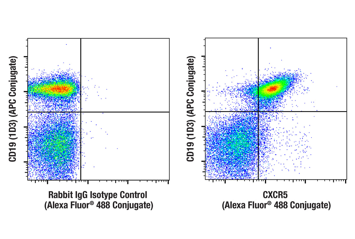 Flow Cytometry Image 1: CXCR5 (E3G3A) Rabbit mAb (Alexa Fluor<sup>®</sup> 488 Conjugate)