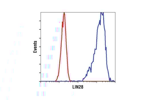 Flow Cytometry Image 1: LIN28A (A177) Antibody