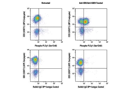 undefined Image 36: Angiogenesis Antibody Sampler Kit