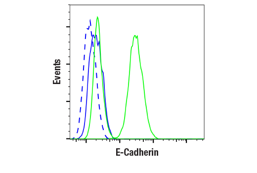 Flow Cytometry Image 1: E-Cadherin (24E10) Rabbit Monoclonal Antibody (BSA and Azide Free)