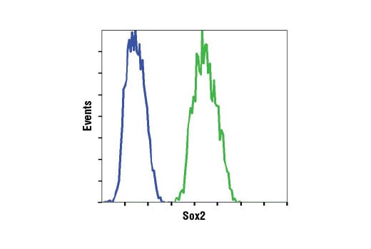 Flow Cytometry Image 1: Sox2 (D6D9) Rabbit Monoclonal Antibody (Alexa Fluor<sup>®</sup> 488 Conjugate)