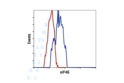 Flow Cytometry Image 1: eIF4G (C45A4) Rabbit Monoclonal Antibody (BSA and Azide Free)