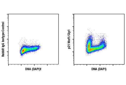 Flow Cytometry Image 1: Anti-rabbit IgG (H+L), F(ab')<sub>2</sub> Fragment (Alexa Fluor<sup>®</sup> 555 Conjugate)