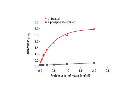 ELISA Image 2: PathScan<sup>®</sup> Phospho-PTEN (Ser380) Sandwich ELISA Kit