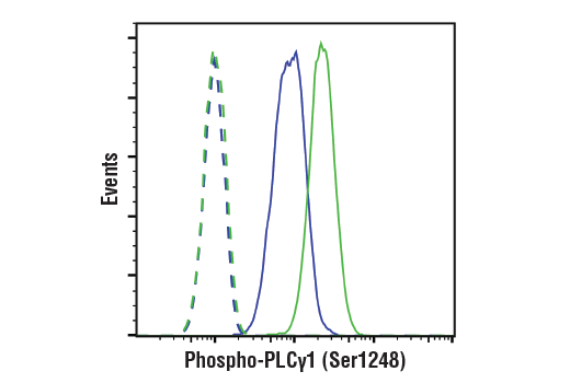 undefined Image 39: Angiogenesis Antibody Sampler Kit