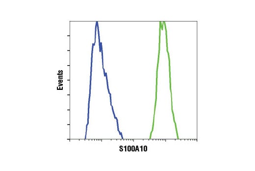 Flow Cytometry Image 1: S100A10 (4E7E10) Mouse Monoclonal Antibody