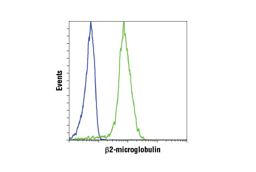 Flow Cytometry Image 1: beta2-microglobulin (D8P1H) Rabbit Monoclonal Antibody (BSA and Azide Free)