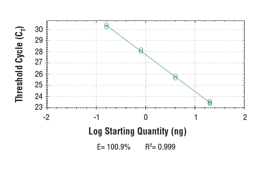 Chromatin Immunoprecipitation Image 2: SimpleChIP<sup>®</sup> Human DMD Intron 2 Primers