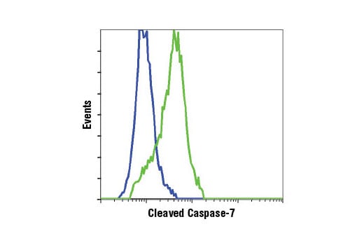 Flow Cytometry Image 1: Cleaved Caspase-7 (Asp198) (D6H1) Rabbit Monoclonal Antibody