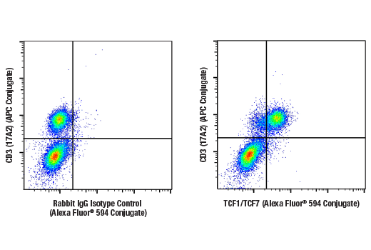Flow Cytometry Image 1: TCF1/TCF7 (E6O1K) Rabbit Monoclonal Antibody (Alexa Fluor<sup>®</sup> 594 Conjugate)