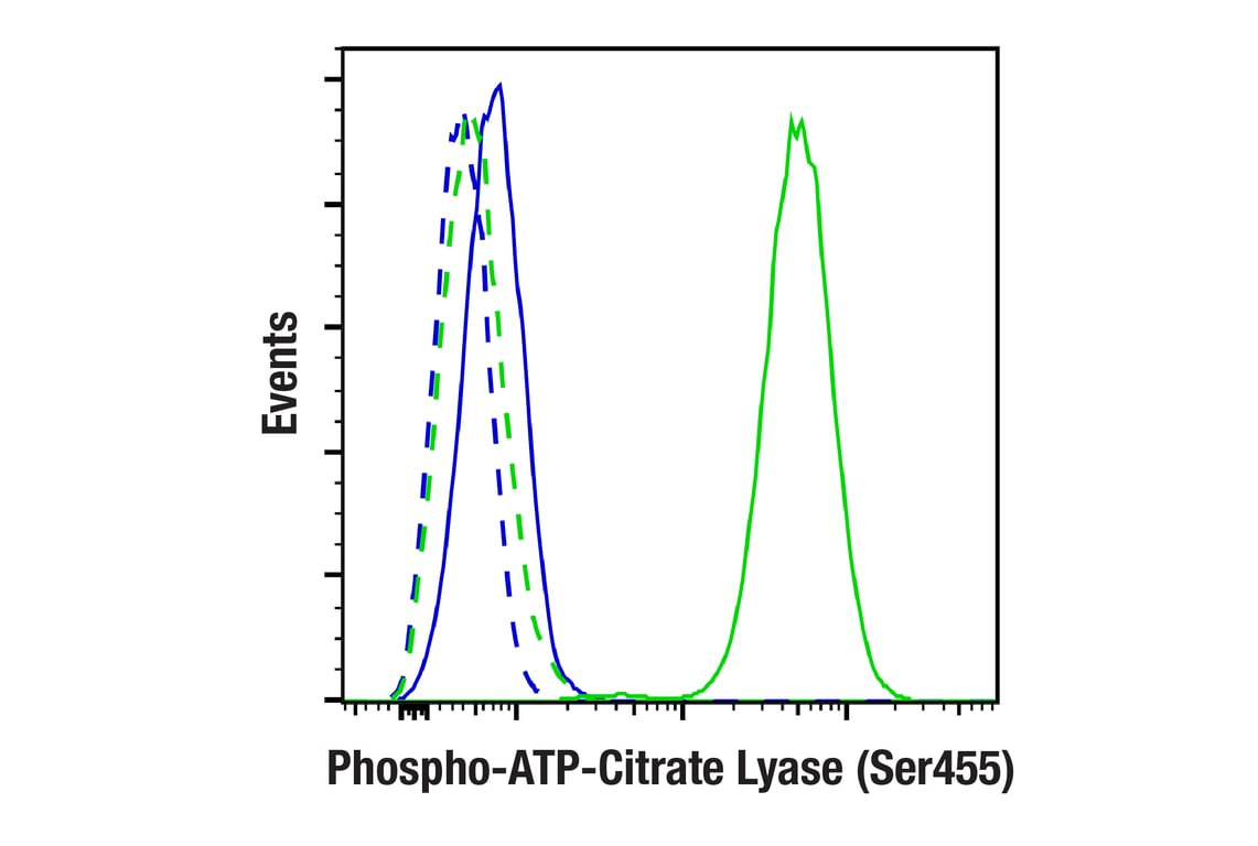 Flow Cytometry Image 1: Phospho-ATP-Citrate Lyase (Ser455) (F4T8R) Rabbit Monoclonal Antibody