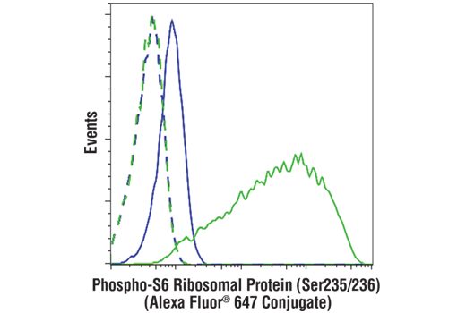 Phospho-S6 Ribosomal Protein (Ser235/236) (D57.2.2E) XP