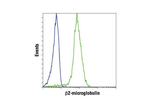 undefined Image 30: MHC Class I Antigen Processing and Presentation Antibody Sampler Kit