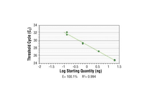 Chromatin Immunoprecipitation Image 2: SimpleChIP<sup>®</sup> Mouse Oct-4 Promoter Primers