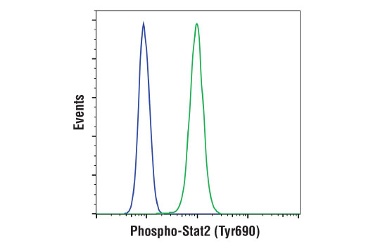 Flow Cytometry Image 1: Phospho-Stat2 (Tyr690) (D3P2P) Rabbit Monoclonal Antibody