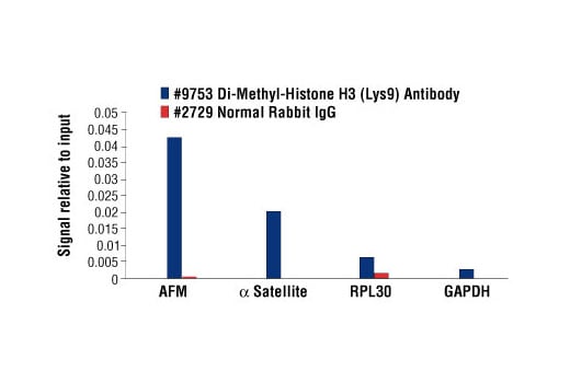Chromatin Immunoprecipitation Image 1: Di-Methyl-Histone H3 (Lys9) Antibody