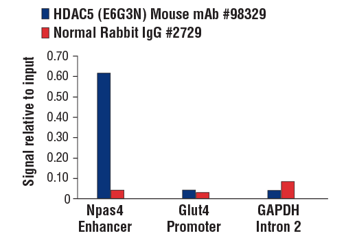 Chromatin Immunoprecipitation Image 1: HDAC5 (E6G3N) Mouse Monoclonal Antibody