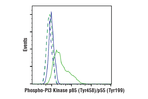 Flow Cytometry Image 1: Phospho-PI3 Kinase p85 (Tyr458)/p55 (Tyr199) (E3U1H) Rabbit Monoclonal Antibody
