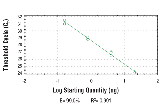 undefined Image 2: SimpleChIP<sup>®</sup> Human LENG8 5' UTR Primers