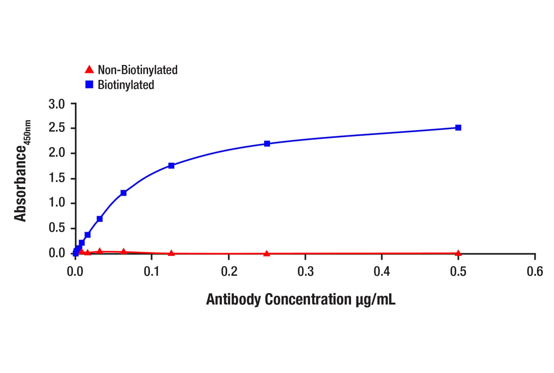ELISA and/or ELISA-like Assays Image 1: SMAD1 (D59D7) Rabbit Monoclonal Antibody (Biotinylated)