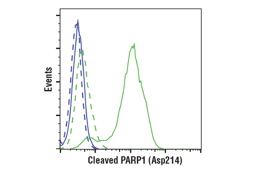 undefined Image 24: Apoptosis Antibody Sampler Kit II