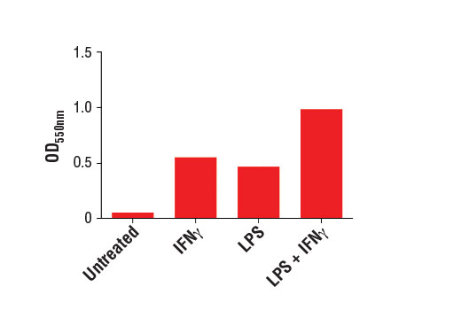 undefined Image 2: Griess Reagent Nitrite Measurement Kit