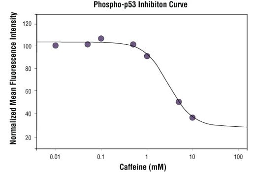 undefined Image 1: Anti-mouse IgG (H+L), F(ab')<sub>2</sub> Fragment (Alexa Fluor<sup>®</sup> 488 Conjugate)