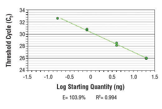Chromatin Immunoprecipitation Image 2: SimpleChIP<sup>®</sup> Human beta-Actin Promoter Primers
