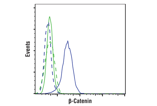 Flow Cytometry Image 1: beta-Catenin (D10A8) Rabbit Monoclonal Antibody