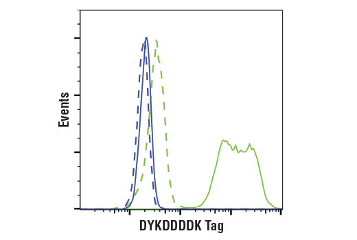 Flow Cytometry Image 1: DYKDDDDK Tag (9A3) Mouse Monoclonal Antibody (Binds to same epitope as Sigma-Aldrich Anti-FLAG M2 antibody) (BSA and Azide Free)