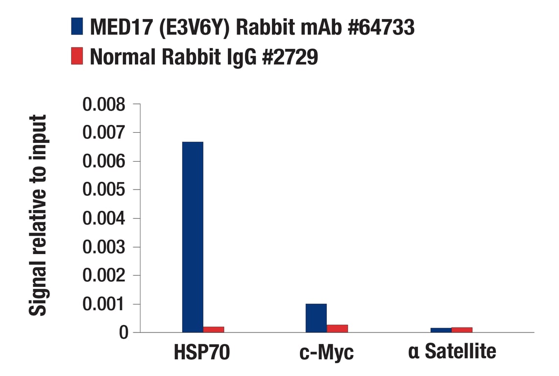Chromatin Immunoprecipitation Image 1: MED17 (E3V6Y) Rabbit Monoclonal Antibody