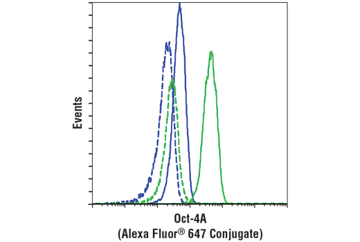 Flow Cytometry Image 1: Oct-4A (C30A3) Rabbit Monoclonal Antibody (Alexa Fluor<sup>®</sup> 647 Conjugate)