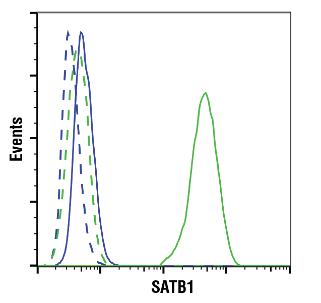 Flow Cytometry Image 1: SATB1 (E5Z3U) Rabbit Monoclonal Antibody