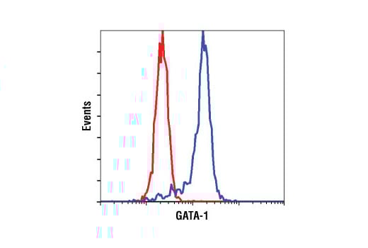 Flow Cytometry Image 1: GATA-1 (D24E4) Rabbit Monoclonal Antibody