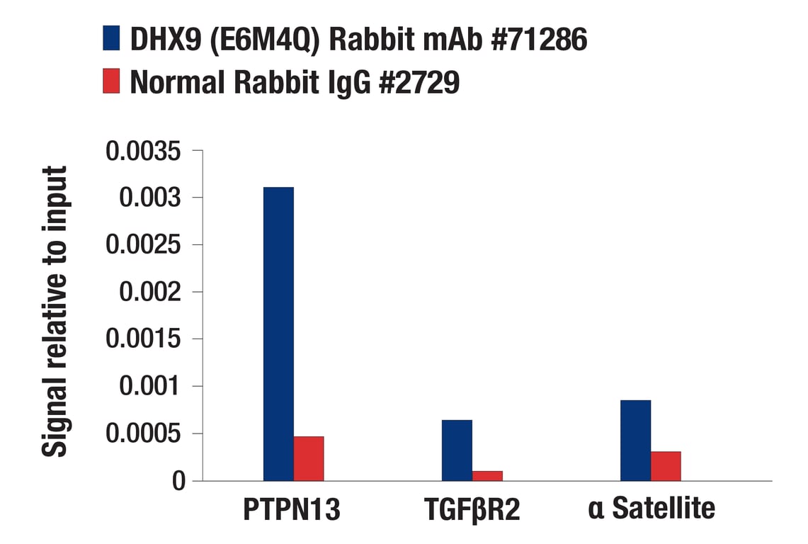 Chromatin Immunoprecipitation Image 1: DHX9 (E6M4Q) Rabbit Monoclonal Antibody