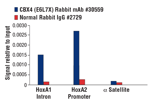 Chromatin Immunoprecipitation Image 3: CBX4 (E6L7X) Rabbit Monoclonal Antibody