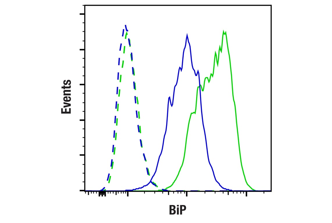 Flow Cytometry Image 1: BiP (C50B12) Rabbit Monoclonal Antibody