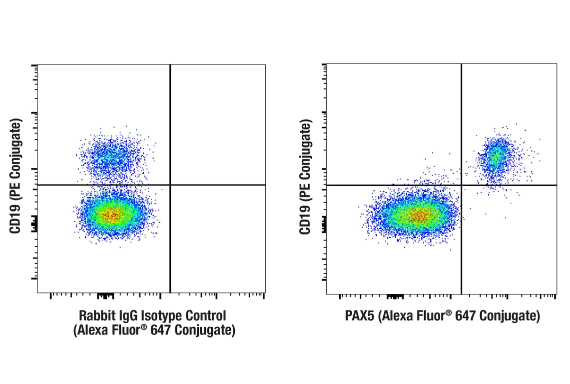Flow Cytometry Image 1: PAX5 (D7H5X) Rabbit Monoclonal Antibody (Alexa Fluor<sup>®</sup> 647 Conjugate)