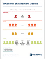 Genetics of Alzheimer’s Disease diagram