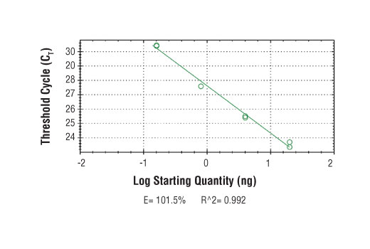 Chromatin Immunoprecipitation Image 2: SimpleChIP<sup>®</sup> Human Nanog Promoter Primers