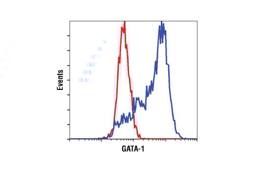 Flow Cytometry Image 1: GATA-1 (D52H6) Rabbit Monoclonal Antibody (BSA and Azide Free)