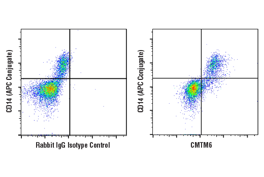 Flow Cytometry Image 2: CMTM6 (E5B1F) Rabbit Monoclonal Antibody