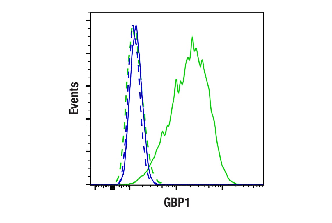 Flow Cytometry Image 1: GBP1 (F4Y1Y) Rabbit Monoclonal Antibody
