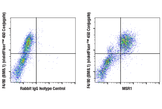 Flow Cytometry Image 1: MSR1 (E4H1C) Rabbit Monoclonal Antibody