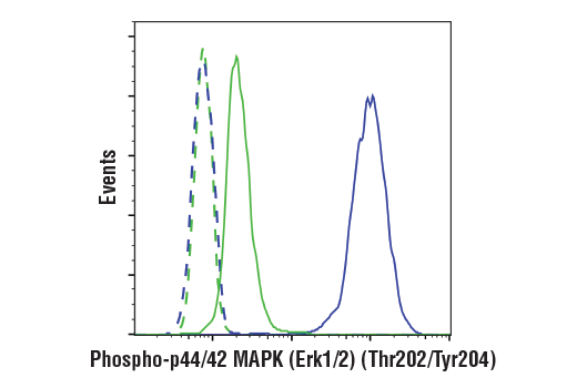 Phospho-Erk1/2 Pathway Antibody Sampler Kit | Cell Signaling