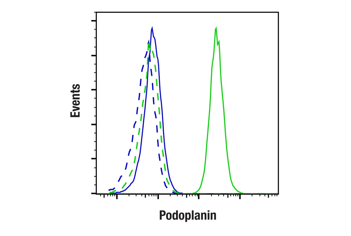 Flow Cytometry Image 1: Podoplanin (LpMab-12) Mouse Monoclonal Antibody