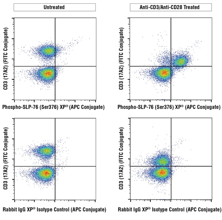 Flow Cytometry Image 2: Phospho-SLP-76 (Ser376) (E3G9U) Rabbit Monoclonal Antibody (APC Conjugate)