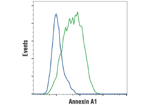 Flow Cytometry Image 1: Annexin A1 (D5V2T) Rabbit Monoclonal Antibody (BSA and Azide Free)